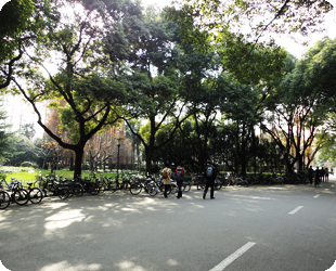 復旦大学　写真